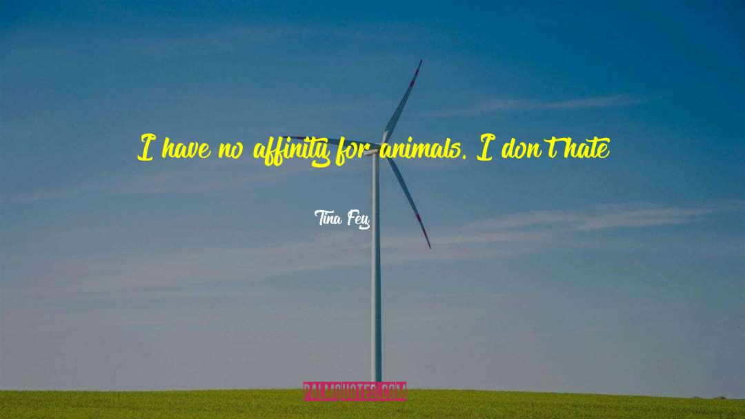Tina Fey Quotes: I have no affinity for