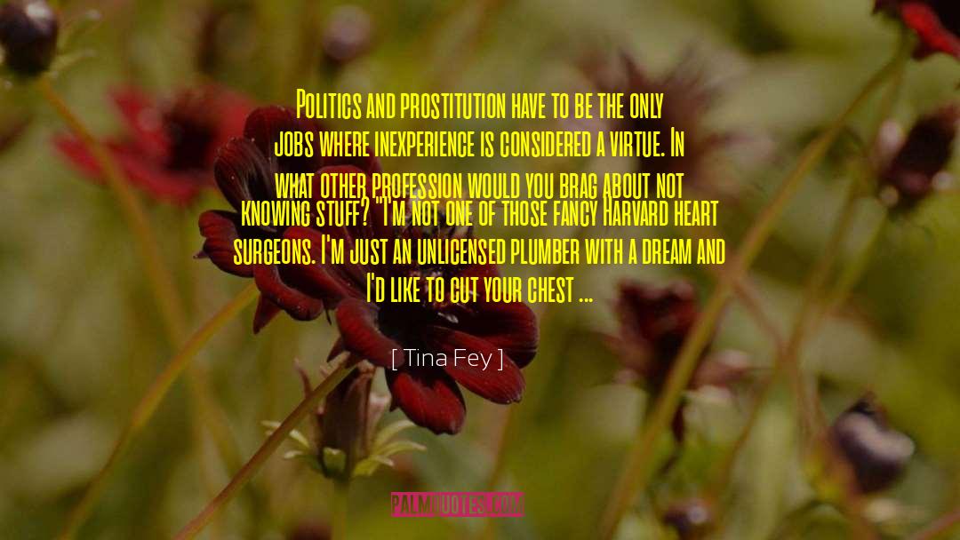 Tina Fey Quotes: Politics and prostitution have to