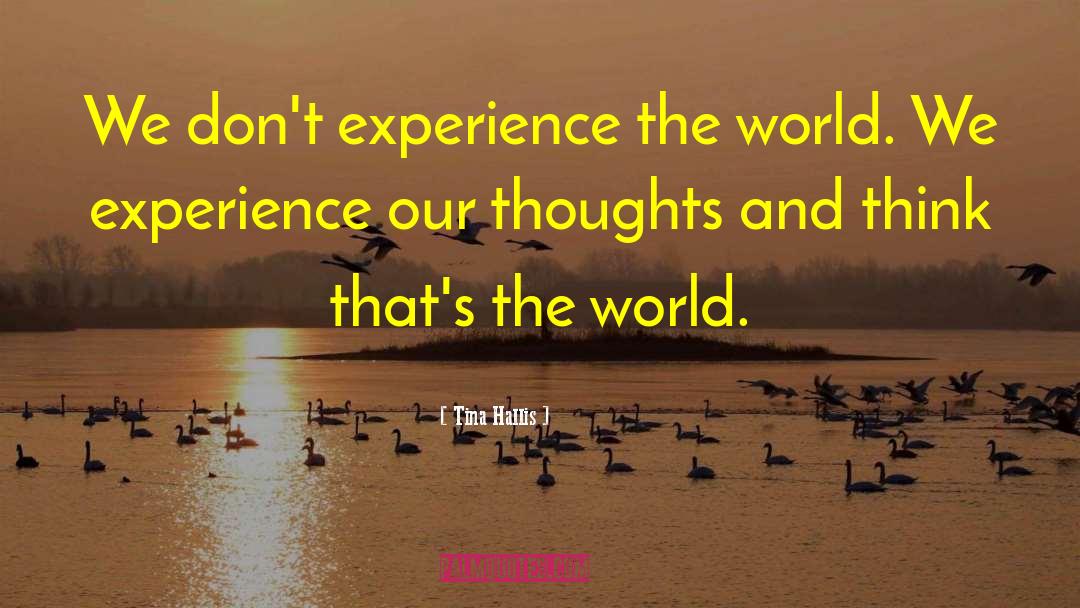 Tina Hallis Quotes: We don't experience the world.