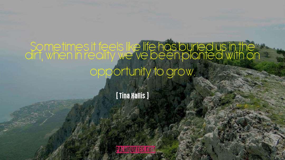 Tina Hallis Quotes: Sometimes it feels like life