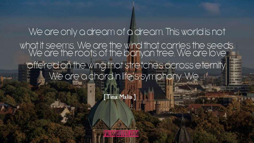 Tina Malia Quotes: We are only a dream