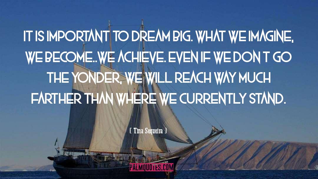 Tina Sequeira Quotes: It is important to dream