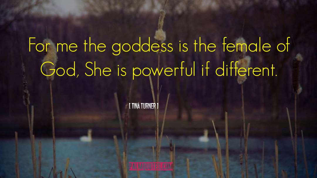 Tina Turner Quotes: For me the goddess is