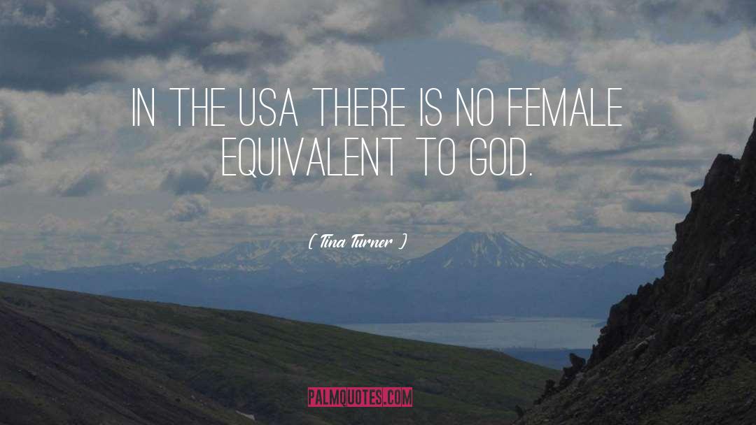 Tina Turner Quotes: In the USA there is