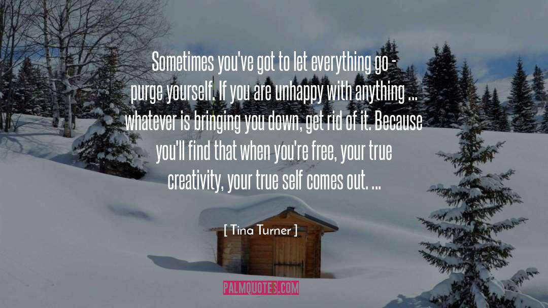 Tina Turner Quotes: Sometimes you've got to let