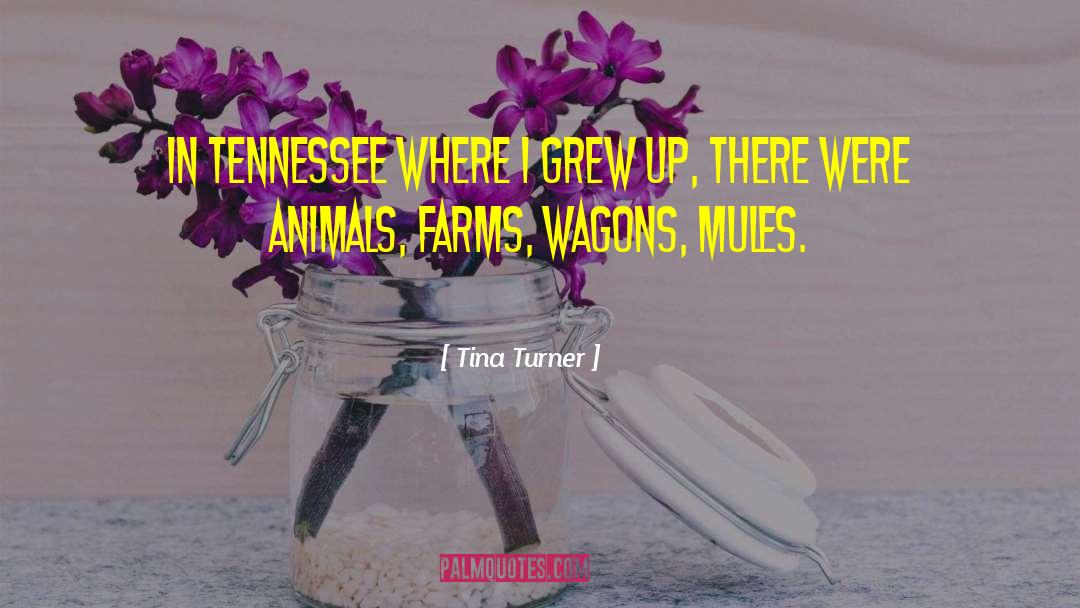 Tina Turner Quotes: In Tennessee where I grew