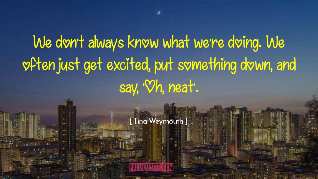 Tina Weymouth Quotes: We don't always know what