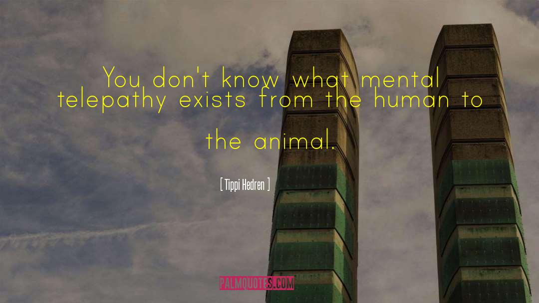 Tippi Hedren Quotes: You don't know what mental