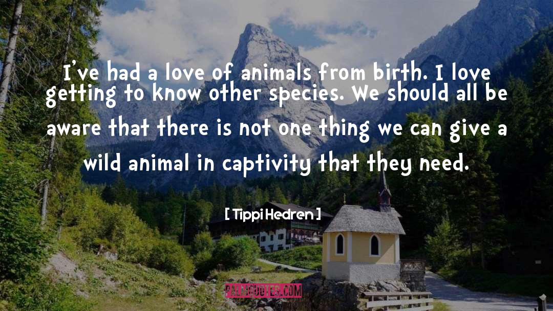 Tippi Hedren Quotes: I've had a love of