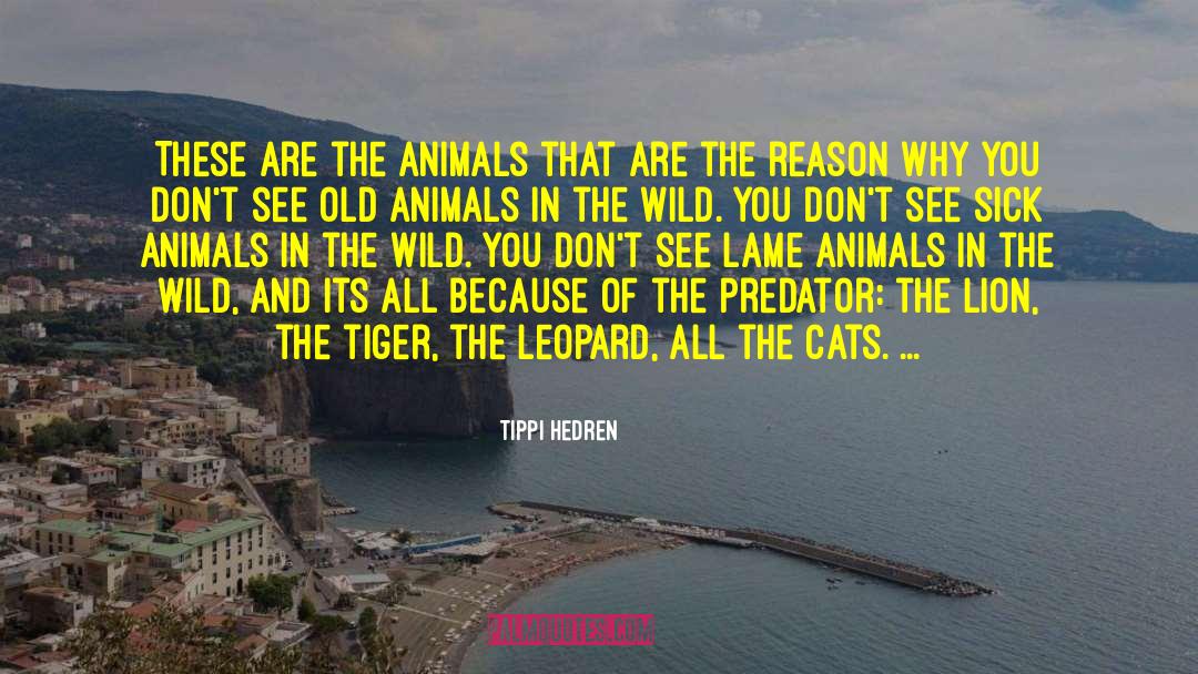 Tippi Hedren Quotes: These are the animals that