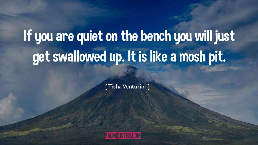 Tisha Venturini Quotes: If you are quiet on