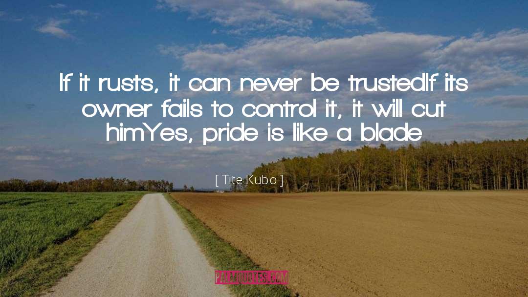 Tite Kubo Quotes: If it rusts, it can