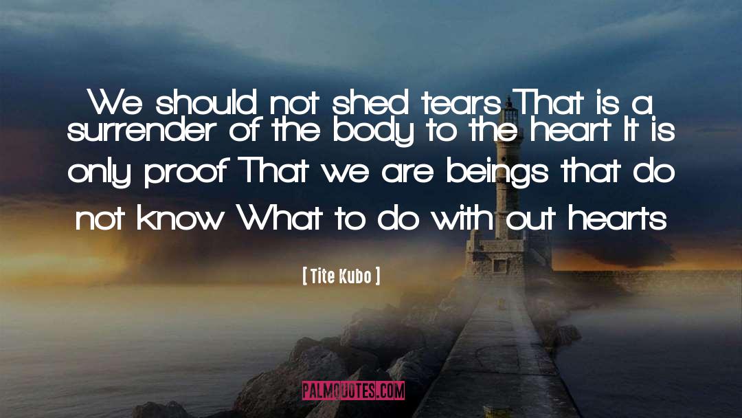 Tite Kubo Quotes: We should not shed tears