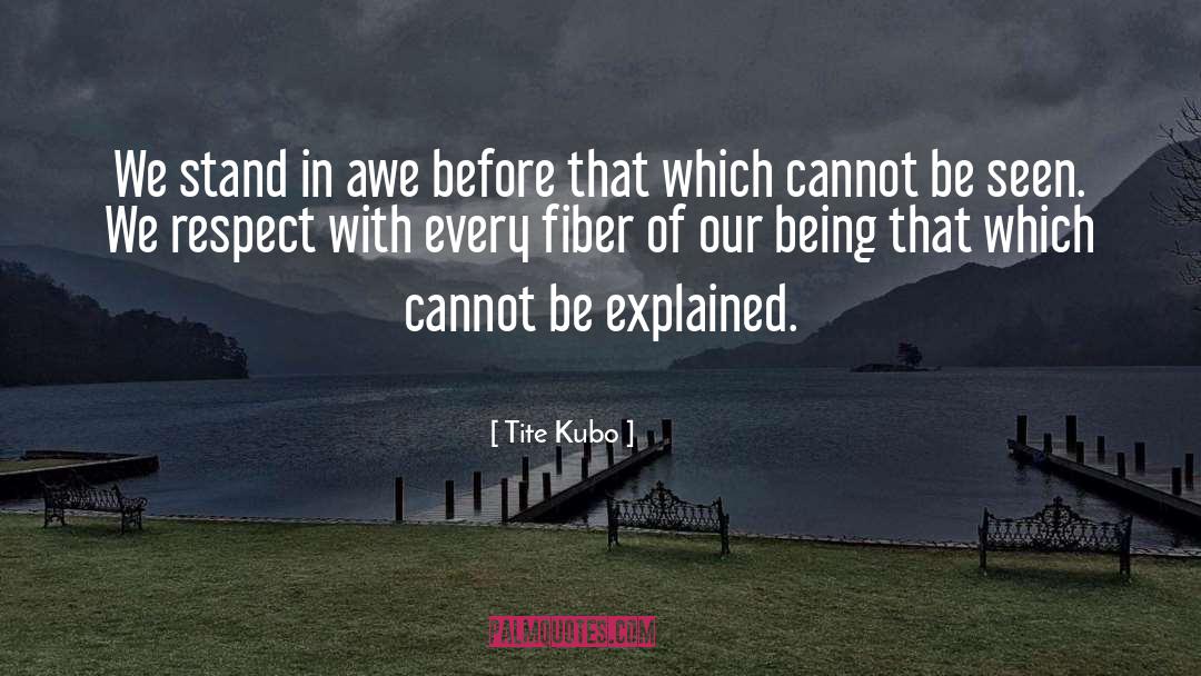 Tite Kubo Quotes: We stand in awe before