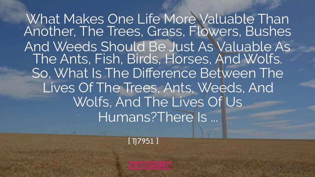 TJ7951 Quotes: What Makes One Life More