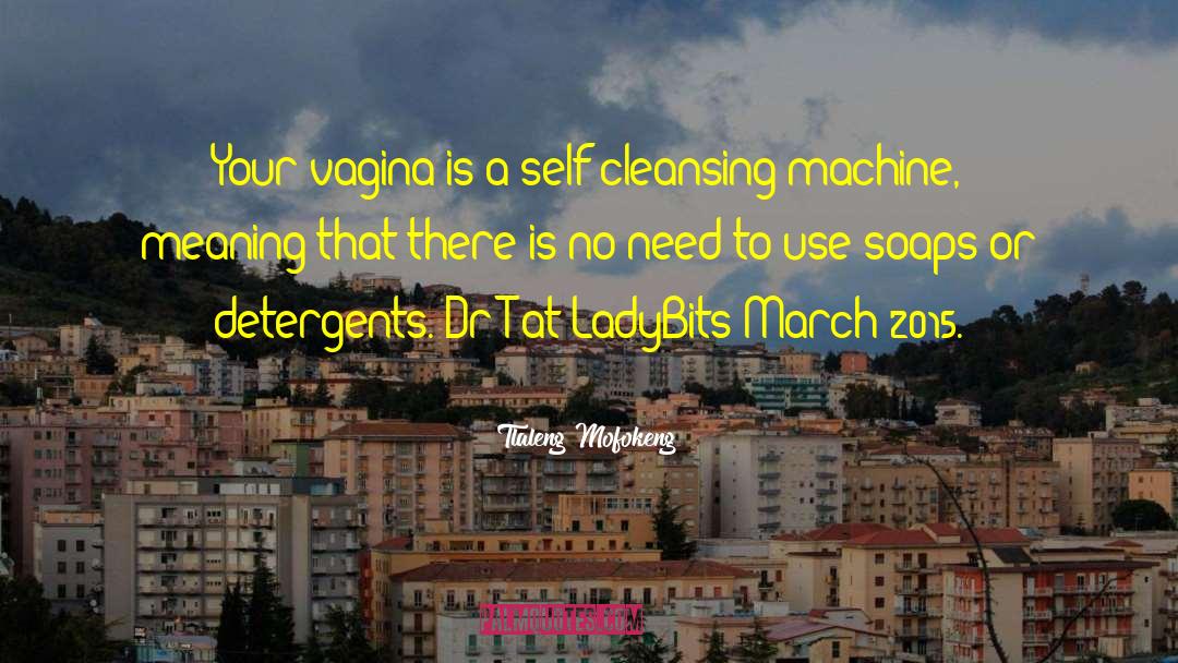 Tlaleng Mofokeng Quotes: Your vagina is a self-cleansing