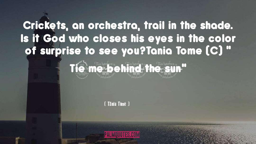 Tânia Tomé Quotes: Crickets, an orchestra, <br />trail