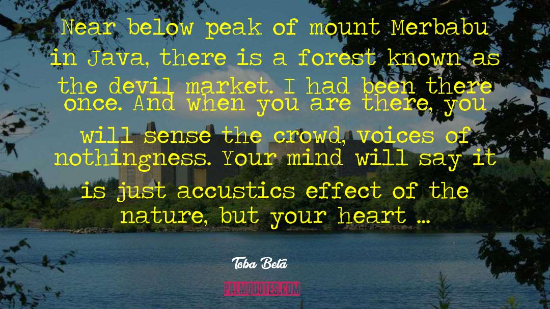 Toba Beta Quotes: Near below peak of mount