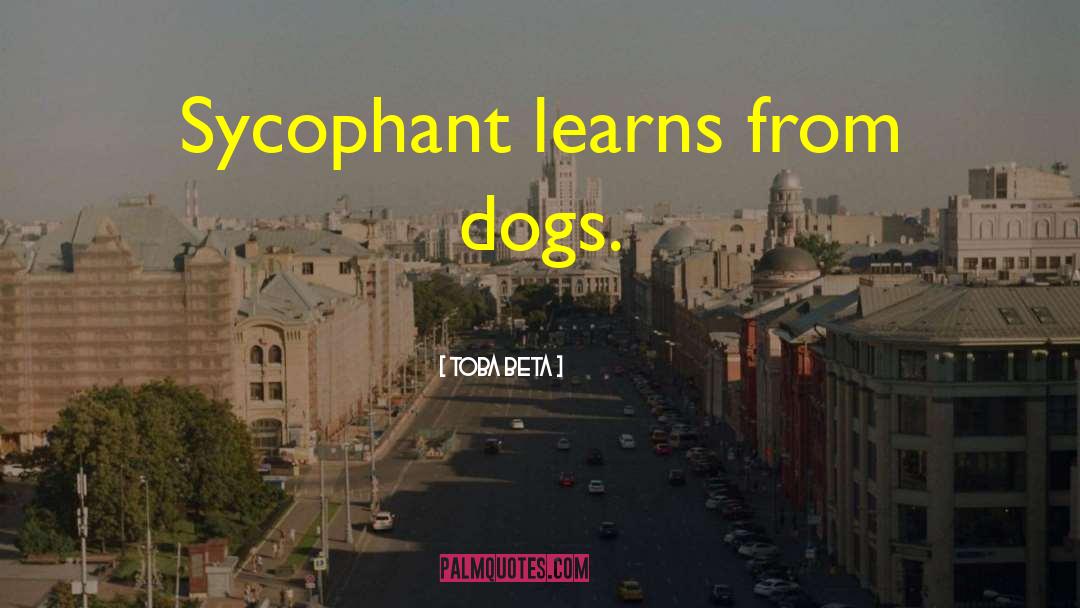 Toba Beta Quotes: Sycophant learns from dogs.