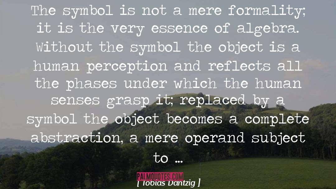 Tobias Dantzig Quotes: The symbol is not a