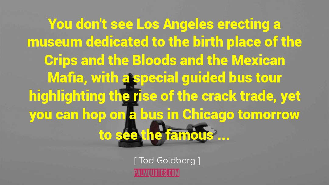 Tod Goldberg Quotes: You don't see Los Angeles