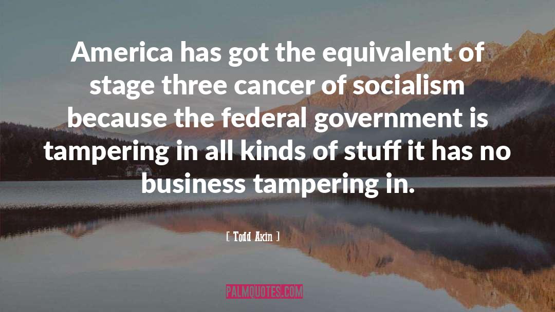 Todd Akin Quotes: America has got the equivalent