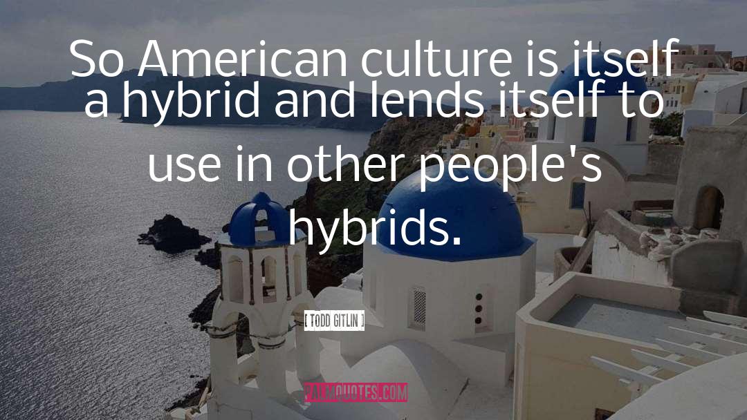 Todd Gitlin Quotes: So American culture is itself