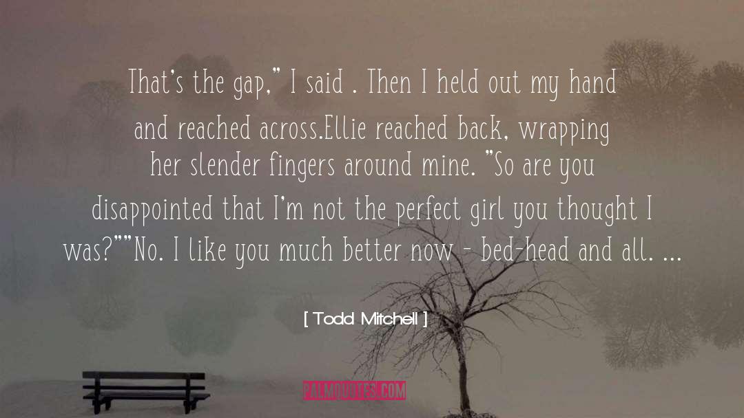 Todd Mitchell Quotes: That's the gap,