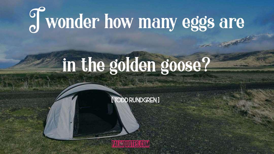 Todd Rundgren Quotes: I wonder how many eggs