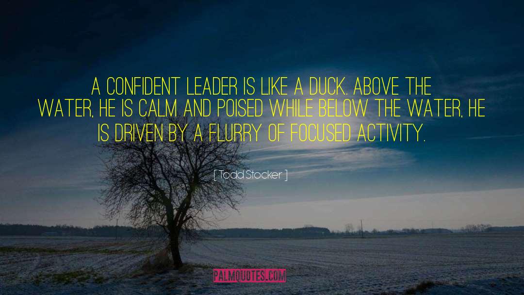 Todd Stocker Quotes: A confident leader is like