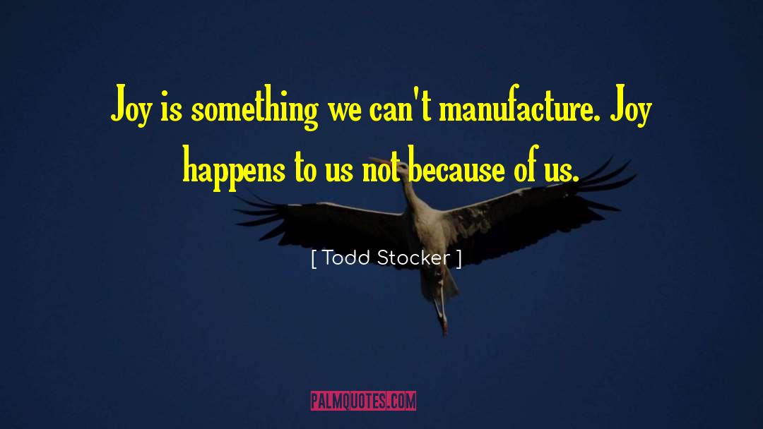 Todd Stocker Quotes: Joy is something we can't