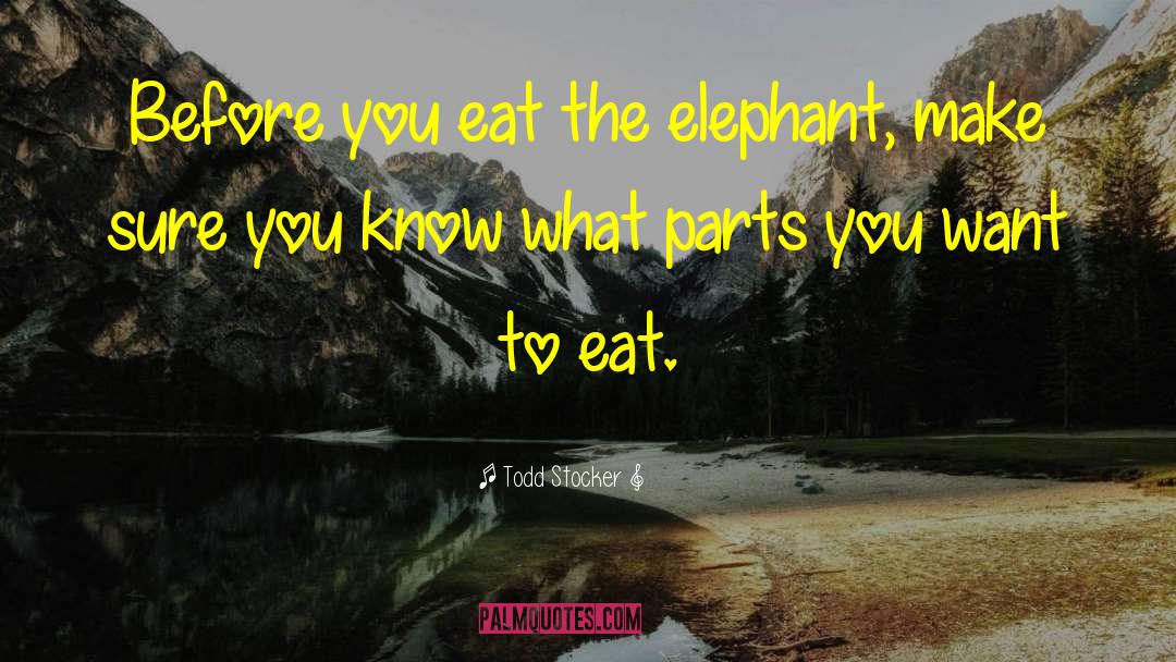 Todd Stocker Quotes: Before you eat the elephant,