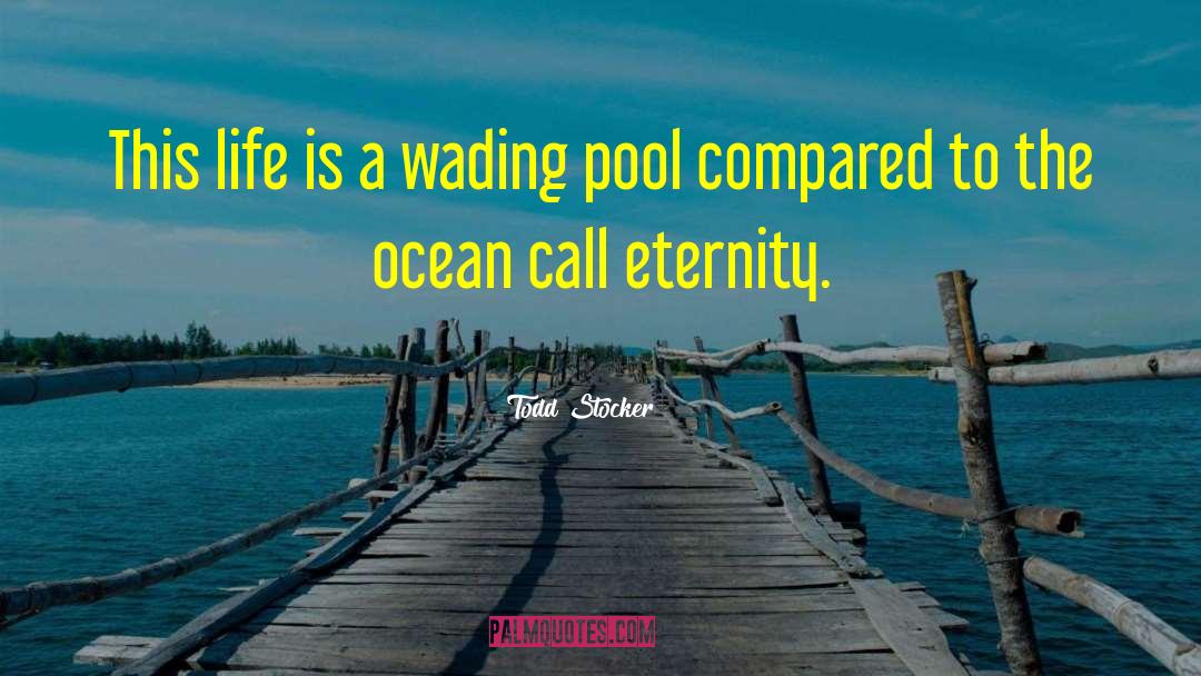 Todd Stocker Quotes: This life is a wading