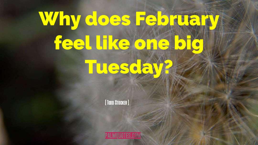 Todd Stocker Quotes: Why does February feel like