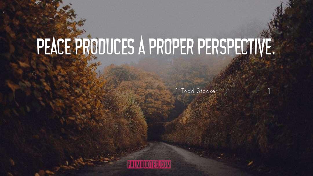 Todd Stocker Quotes: Peace produces a proper perspective.