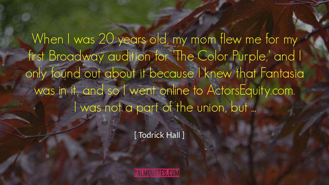 Todrick Hall Quotes: When I was 20 years