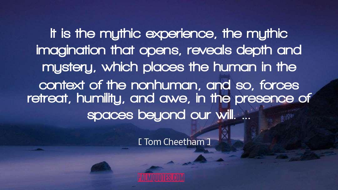 Tom Cheetham Quotes: It is the mythic experience,