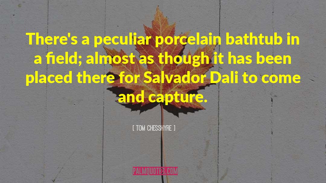 Tom Chesshyre Quotes: There's a peculiar porcelain bathtub