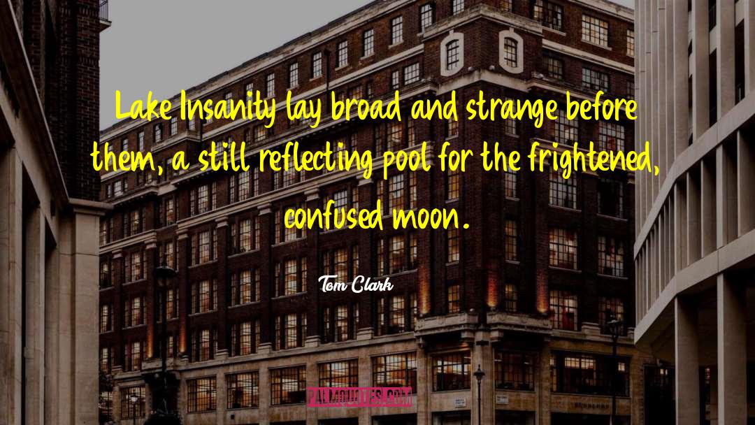 Tom Clark Quotes: Lake Insanity lay broad and