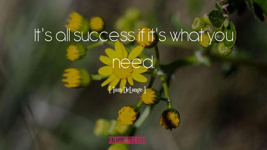 Tom DeLonge Quotes: It's all success if it's