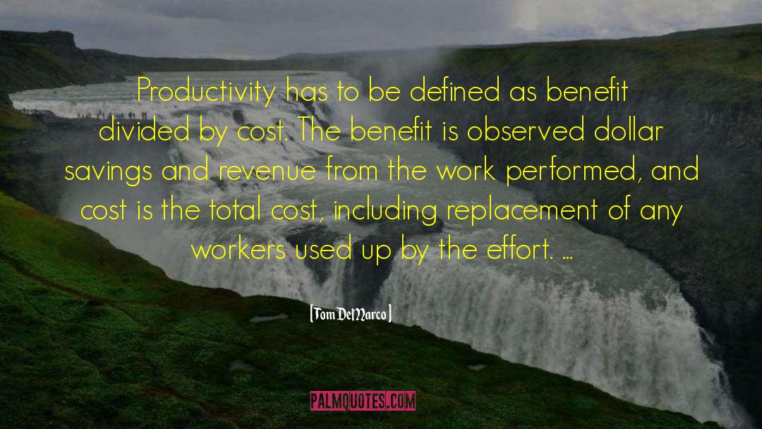 Tom DeMarco Quotes: Productivity has to be defined