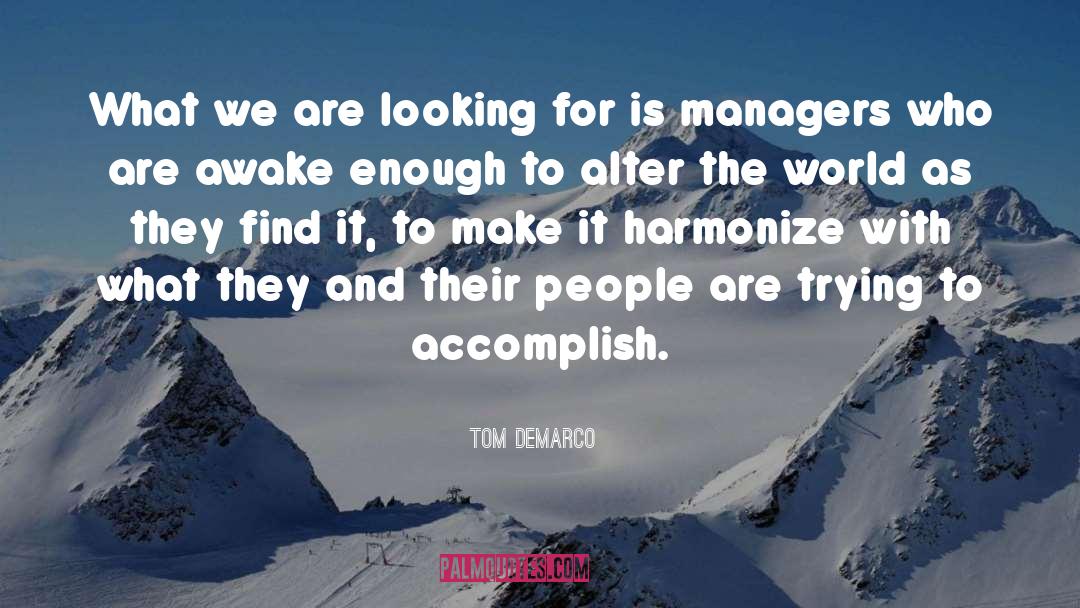 Tom DeMarco Quotes: What we are looking for