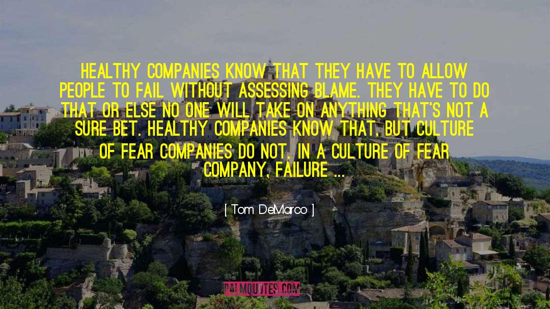 Tom DeMarco Quotes: Healthy companies know that they