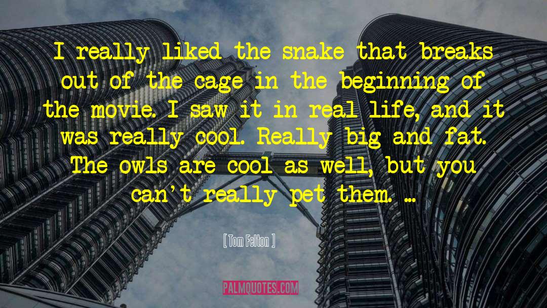 Tom Felton Quotes: I really liked the snake