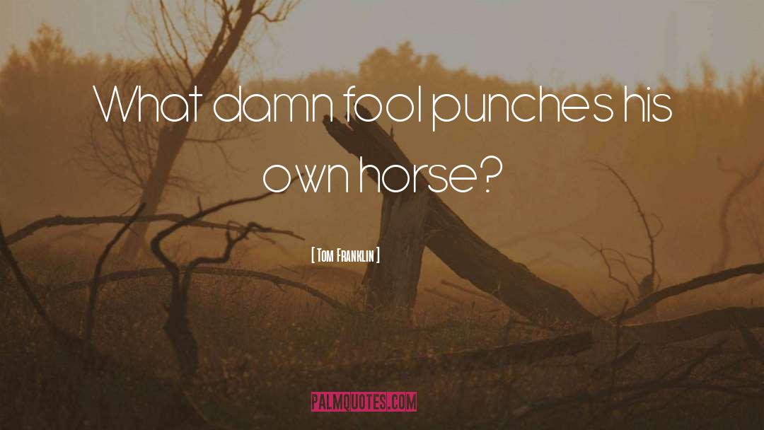 Tom Franklin Quotes: What damn fool punches his