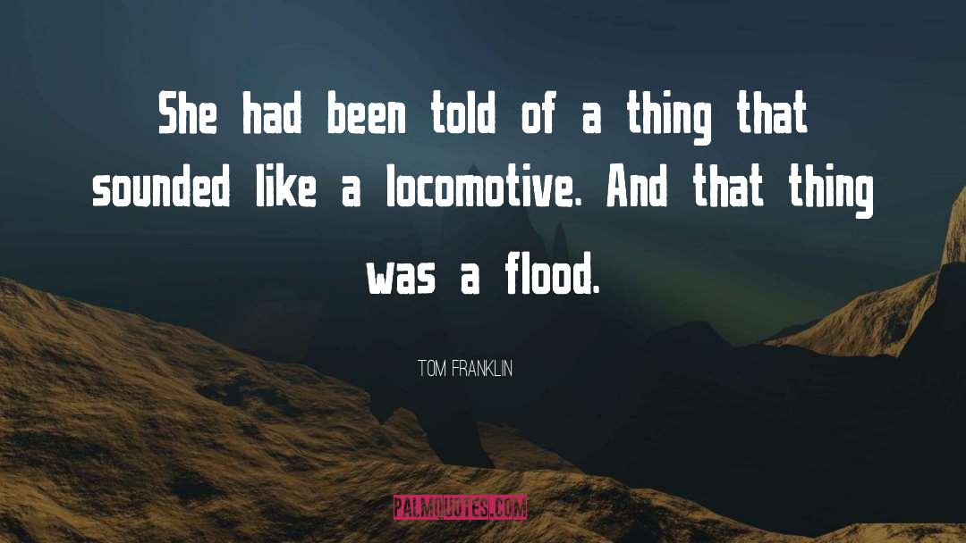 Tom Franklin Quotes: She had been told of