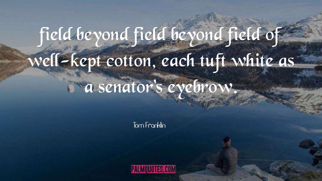 Tom Franklin Quotes: field beyond field beyond field