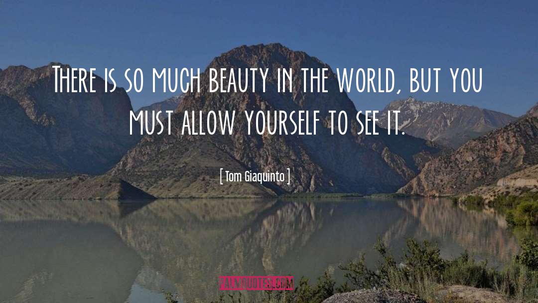 Tom Giaquinto Quotes: There is so much beauty