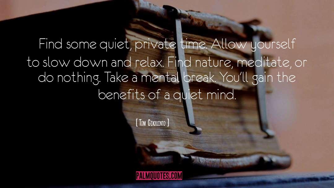 Tom Giaquinto Quotes: Find some quiet, private time.