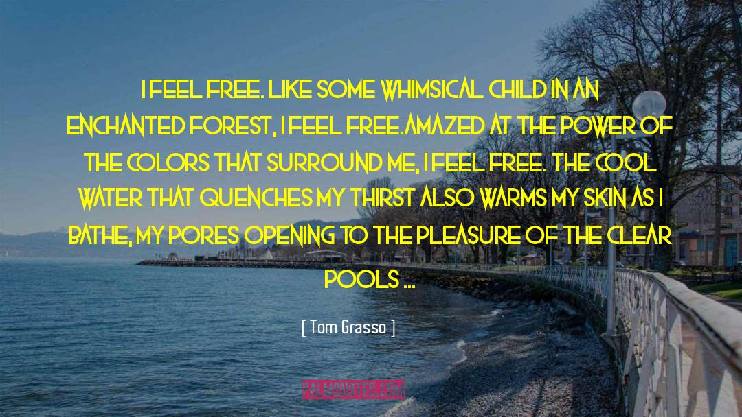 Tom Grasso Quotes: I feel free. Like some